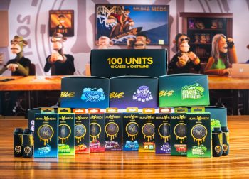 Buy Brain Freeze Indoor Flower